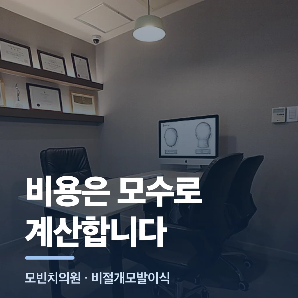 비용은 모수로 계산합니다